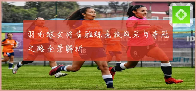 羽毛球女将黄雅琼竞技风采与夺冠之路全景解析