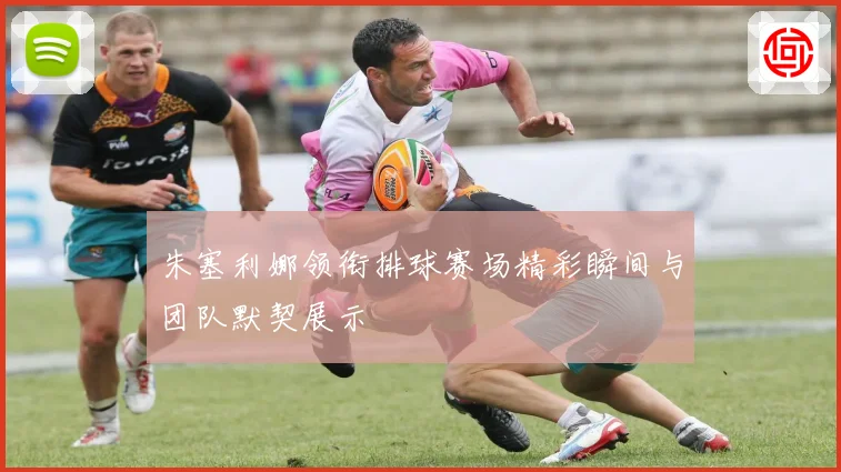 朱塞利娜领衔排球赛场精彩瞬间与团队默契展示